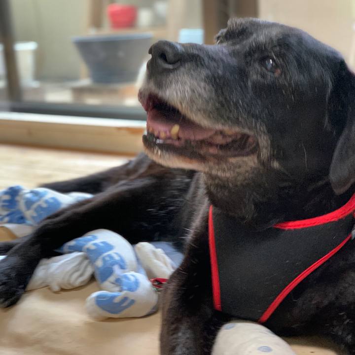 Cecdbb8d 13a9 49ab 9938 d77e53daadbd 1654841206290