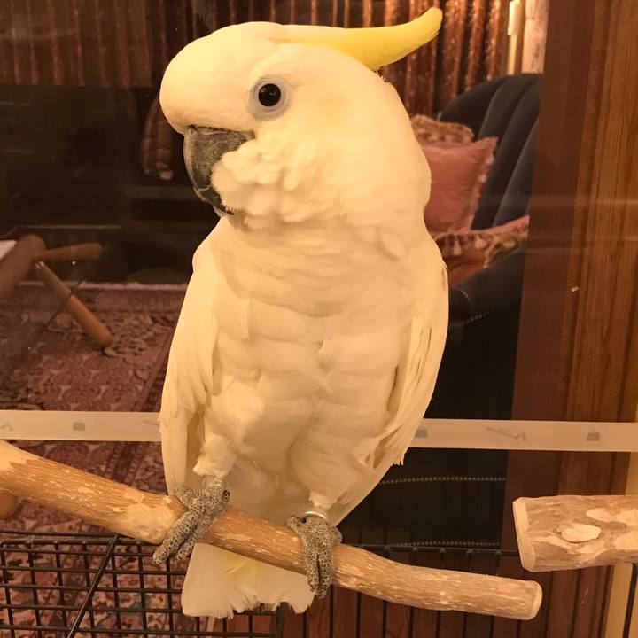 Cecde013 e1e6 4cf1 b2d7 d984efcb509f 1538816913790