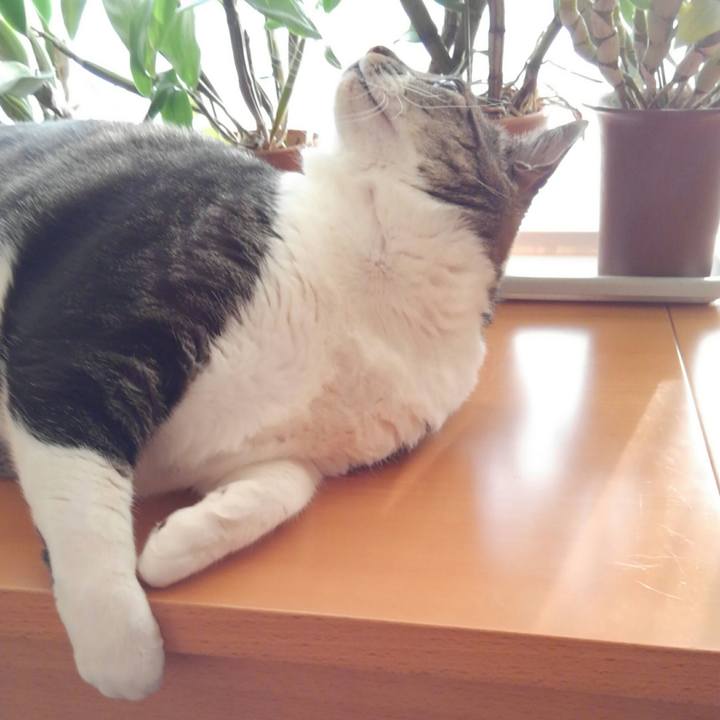 Cecde22f 0115 4631 bfb7 882d37e35a28 1516229343927