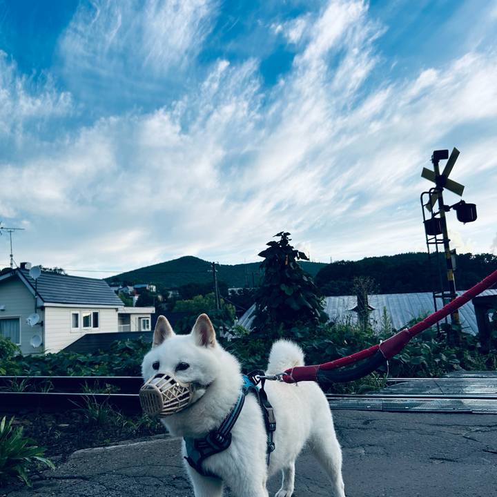 Cece279a 1935 4bdc aabc c9351c5093d4 1755809842373