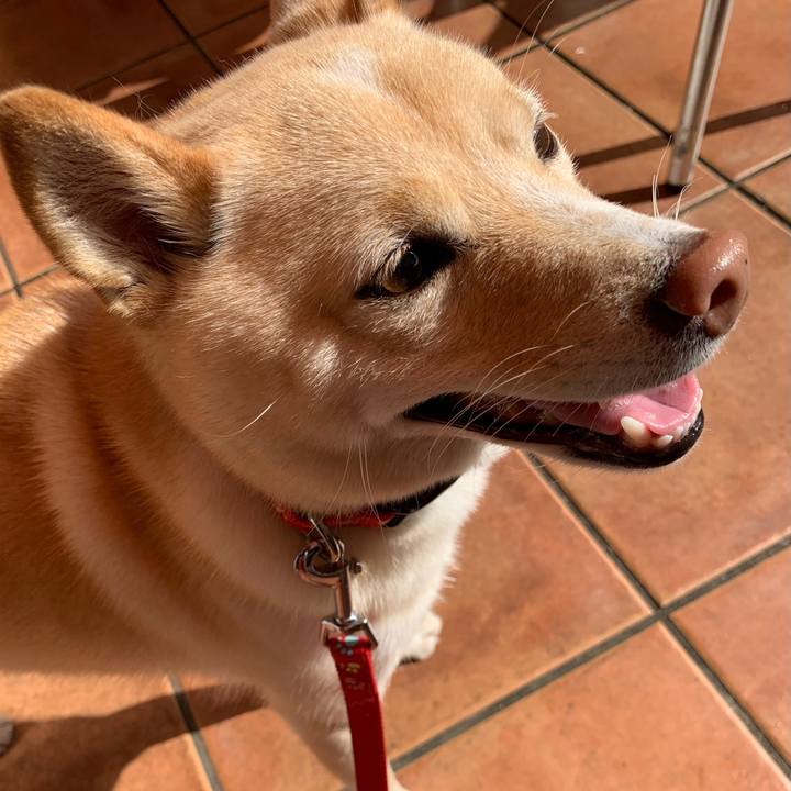 Cece4341 002b 4bf5 b64e 5bf045c1306a 1636374658187