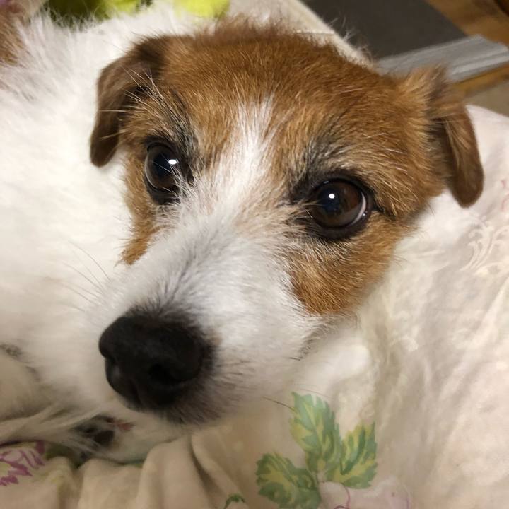 Cece45f9 387d 4cc2 9131 95125e153e3d 1556636175777