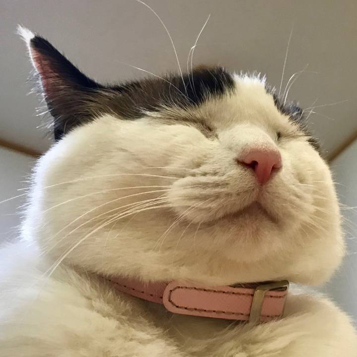 Ceceb4f9 2391 42eb a068 543f0ec3e2d5 1570069302118