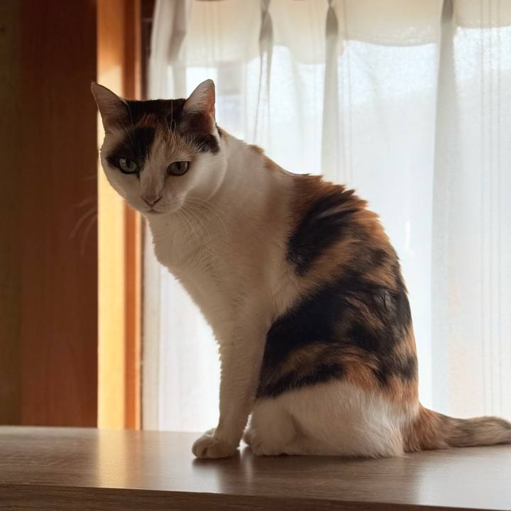 Ceced2d6 d918 44d6 a1ba 15d34a01d6f6 1760836929656