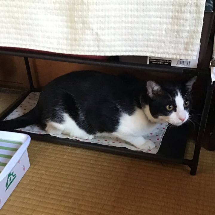 Cecefd10 2f93 4351 9538 591152a70a64 1637816331941