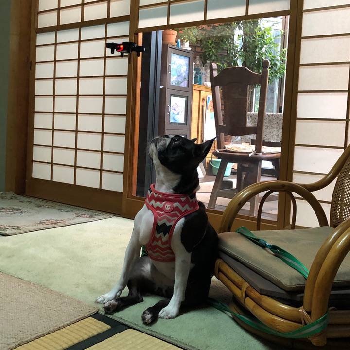 Cecf06a3 3cde 40c3 b619 802563b2d425 1567932929107