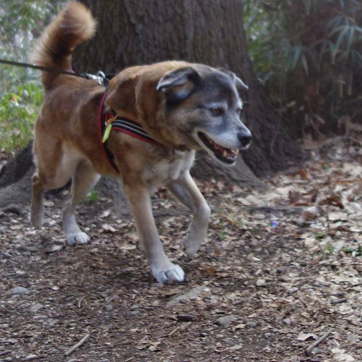 Cecf105c d36d 4d3e b0a9 fa308bdf1247 1660349145255