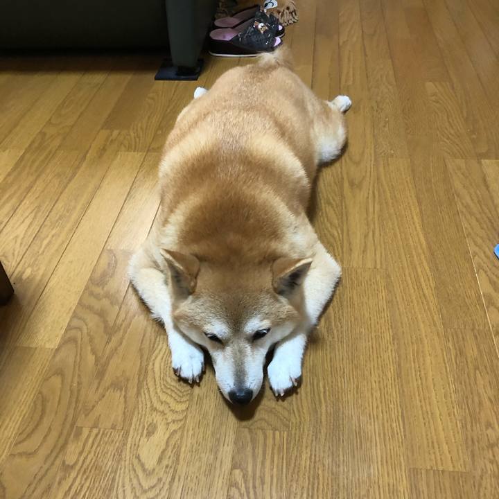 Cecf12d9 50b0 4d6d bf41 098b68676a95 1592802410813