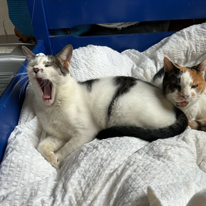 Ced00f8b 9742 461f a639 5b7e93e467c7 1727001781112