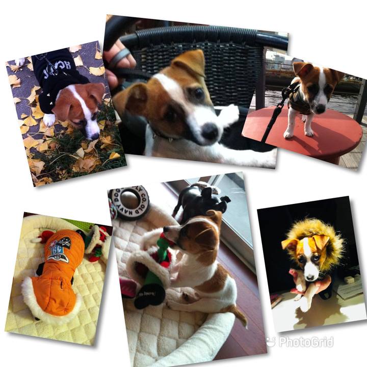 Ced012b7 8176 4b8c a041 221b5a78e33f 1669026318250