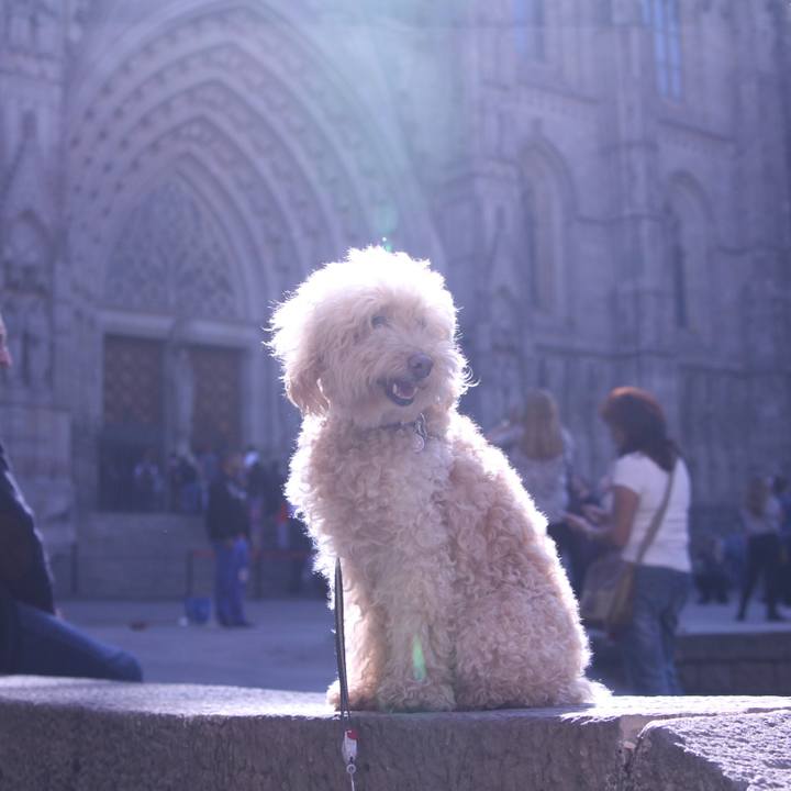 Ced034e1 12e3 47de 9d69 1583450277ca 1509023042526