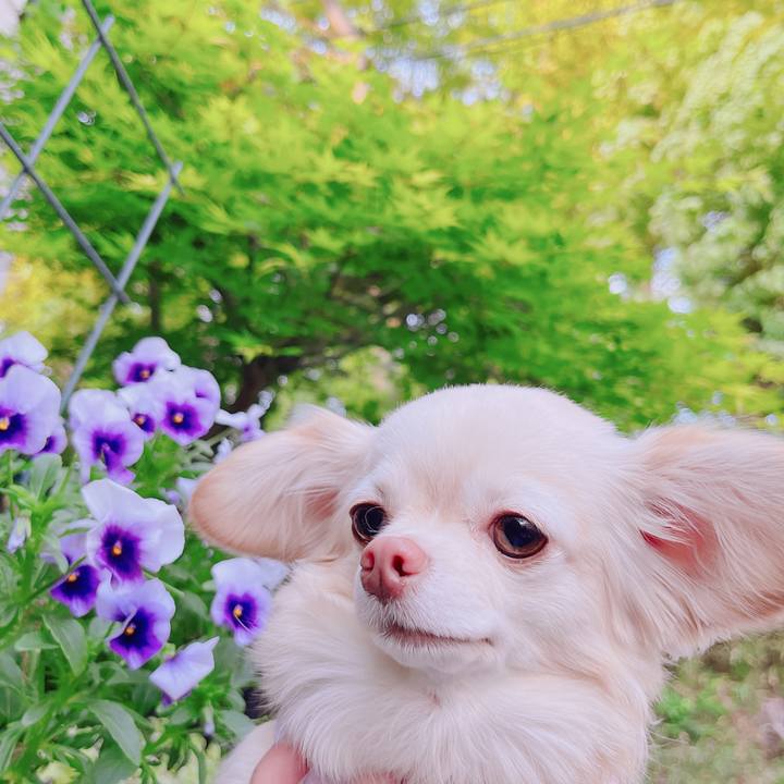 Ced0500a 20e8 40d9 b913 660d106aea84 1681820060392