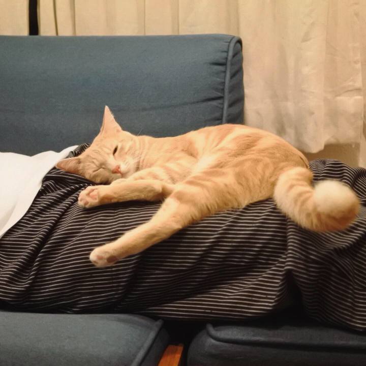 Ced062b3 038b 4be6 8119 84b1ad315a86 1565189574286