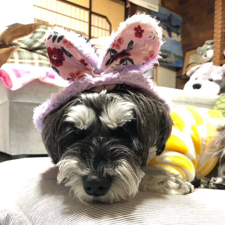 Ced06924 3a16 438f bff9 1e251e6954b7 1704030755601