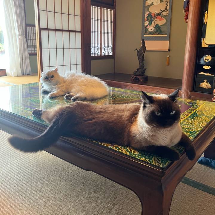 Ced076cb 01fe 4054 aae9 97afe420d4dc 1687566566818