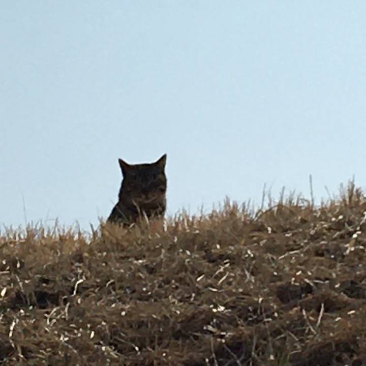 Ced105fc bb3a 4f94 bfda f8d154319d39 1646452579780