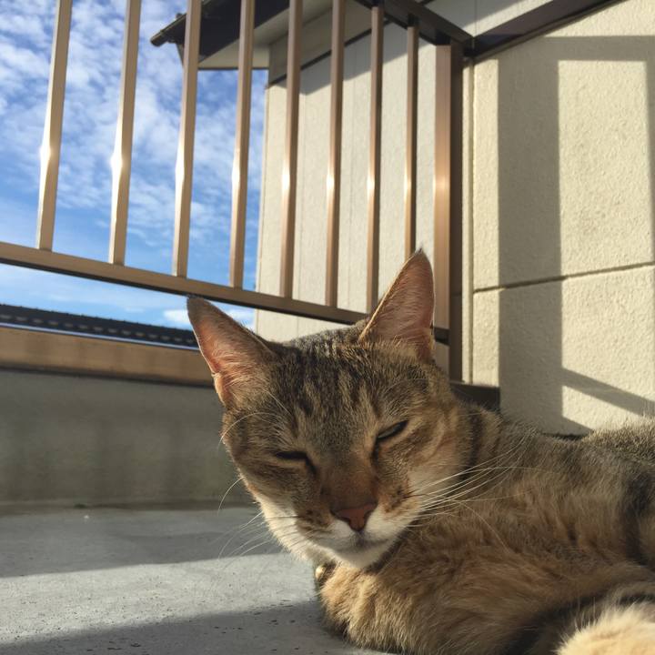 Ced1218f b24d 4a8e 894f c15834299824 1538346169658