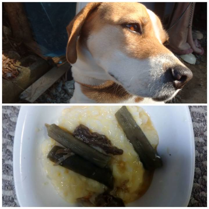 Ced13e21 398c 4f3d 9774 510e01cb6da2 1612440675999