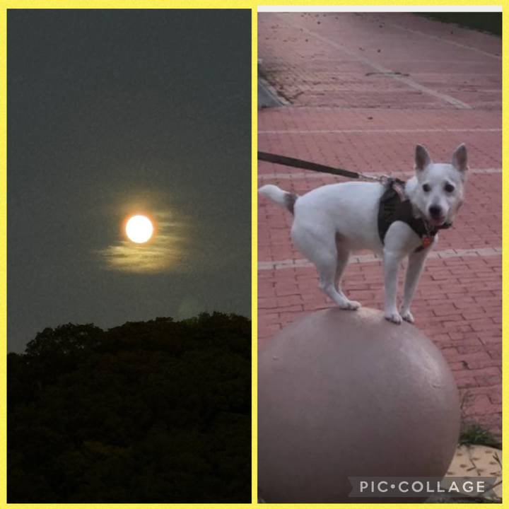 Ced15b83 e72b 4015 bdad 87bb383c1e1e 1759741714156