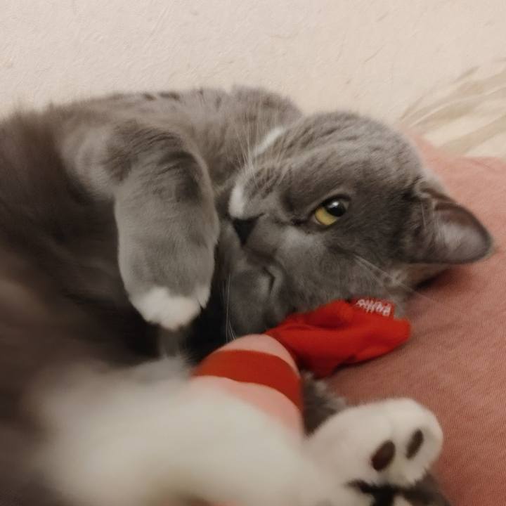 Ced1a928 0f63 4e58 8f17 1b3cd4e80169 1616240525533