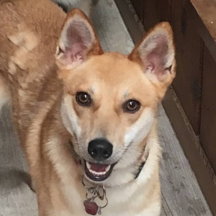 Ced1b3d2 56de 471d b03f 5f3e785806d3 1527662465604