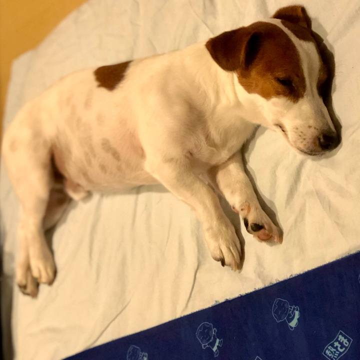 Ced1c3ab ad63 476d b314 88ca29fdb9c0 1598330887315