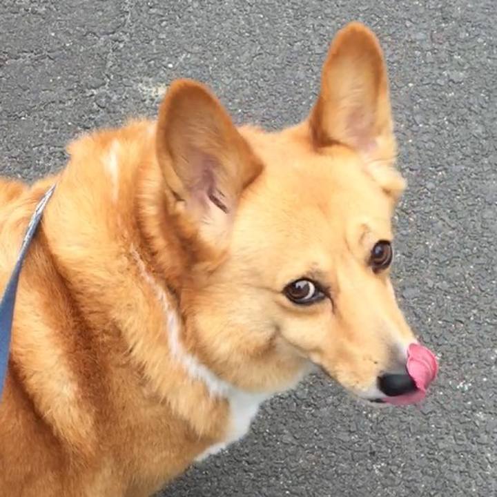 Ced1d71c 9b1a 42f6 9d70 1c08c16757b2 1535014616061