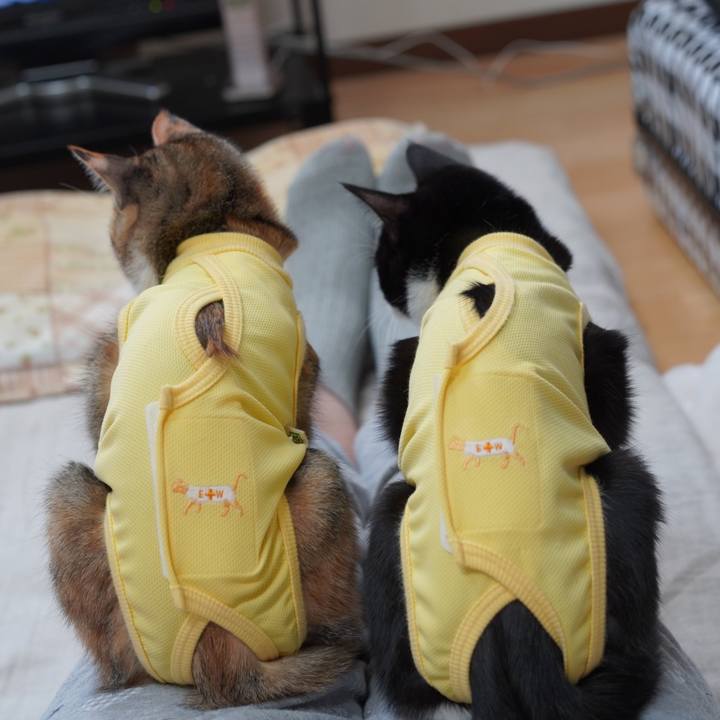 Ced1ec50 b95c 43f2 828c 14e33412752f 1578733658168