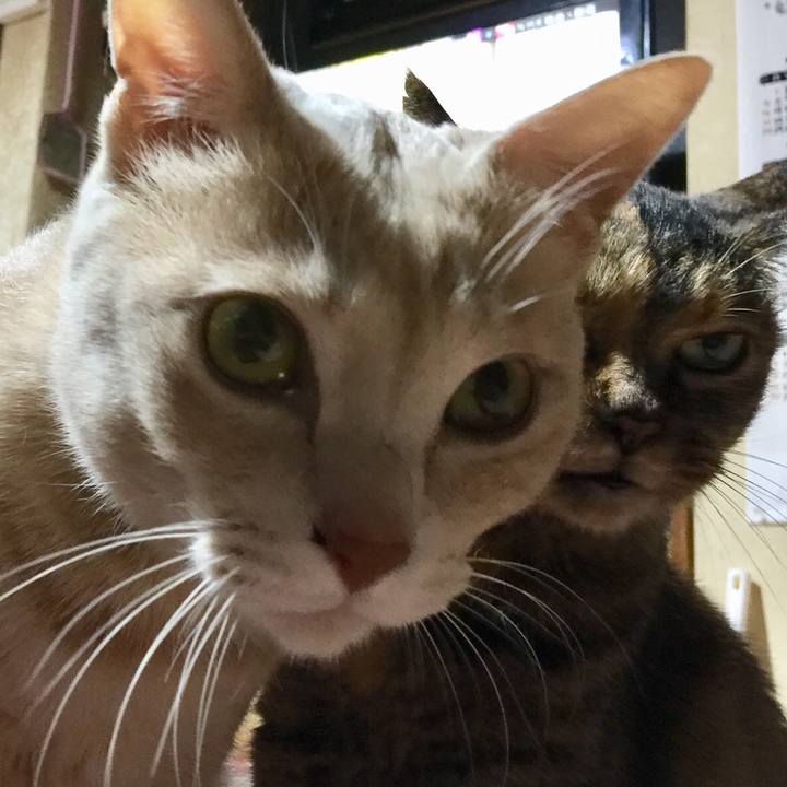 Ced1f305 ac96 40ec 8bea 12c988595604 1539084494011