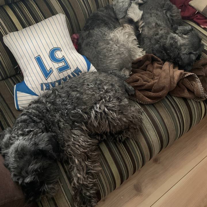 Ced201ee 3676 4658 a417 c68529d97210 1615948959204