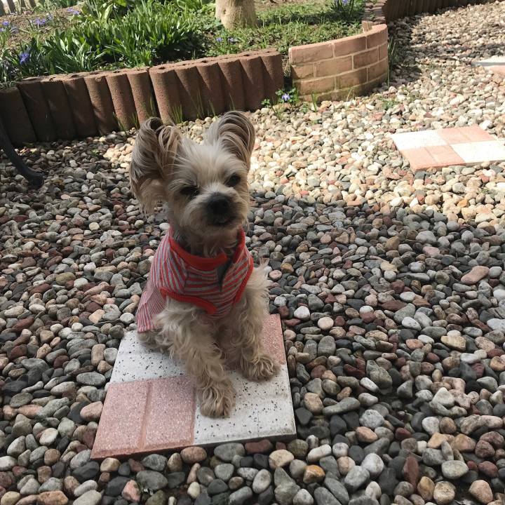 Ced2367c 1a84 4368 a43d 7b1a61c93519 1555748216807