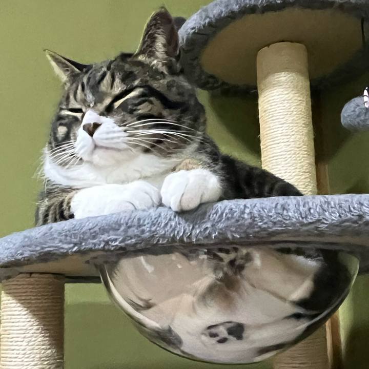 Ced25459 75c1 4155 aee3 e143a8eb2018 1775866231453