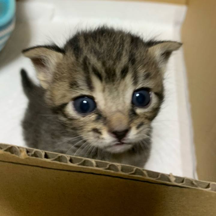 Ced25e18 e46a 4e96 9e56 e858fd1e45b6 1587380453217