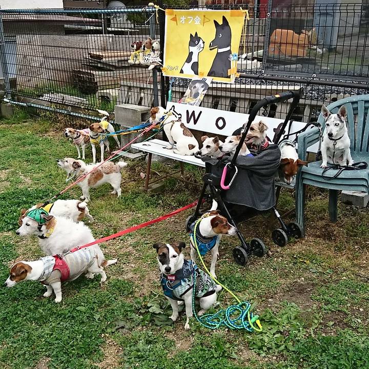 Ced26b16 817a 4b6d 99f3 e85f9bd6bdc9 1556602545443