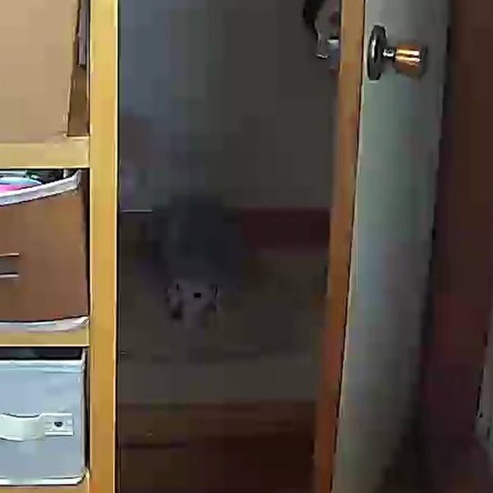 Ced29881 83a7 4684 a2e8 11f62de6fa8d 1639978572121