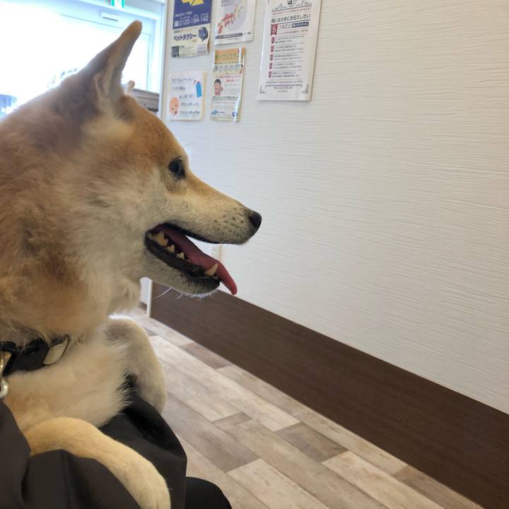 Ced2b858 46c0 4d17 941c b80a5552366d 1578142689796