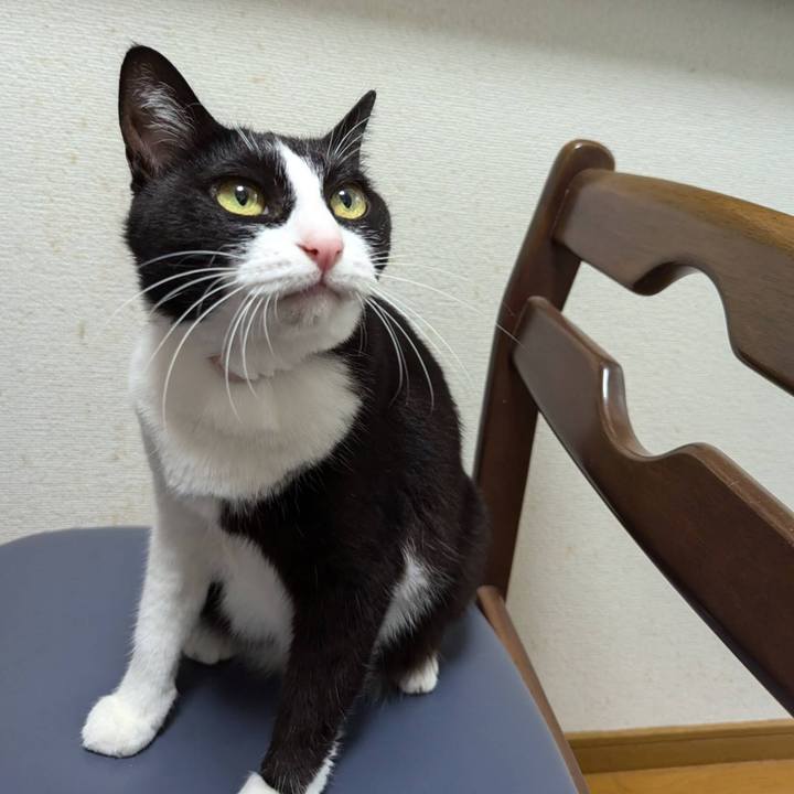 Ced2c7d8 2baf 451b 8608 b172f4d724b0 1727593577747