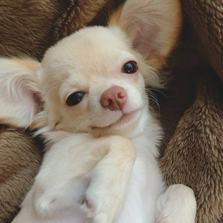 Ced2e427 b953 490b a56f fffa025b8eca 1596662815762