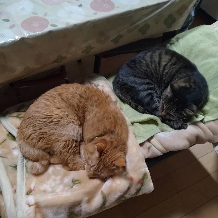 Ced2f72f e065 4d68 907c 0452cffd233d 1735199135540