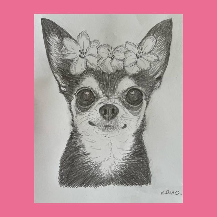 Ced2f964 f28e 4352 af7c 8e6a74cf7f0c 1675253593584