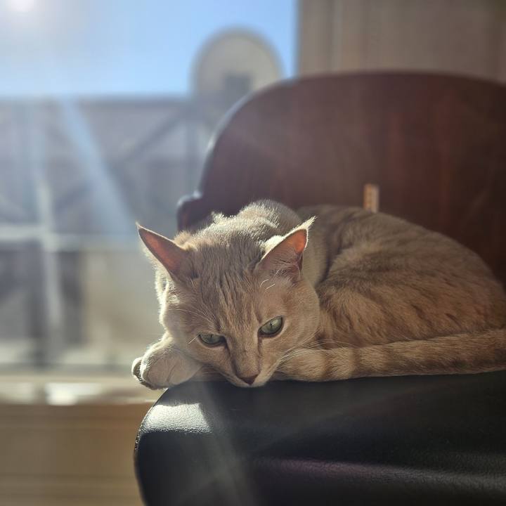 Ced2fbdf 46ac 4baa 953d 7986ac553b18 1731729737200