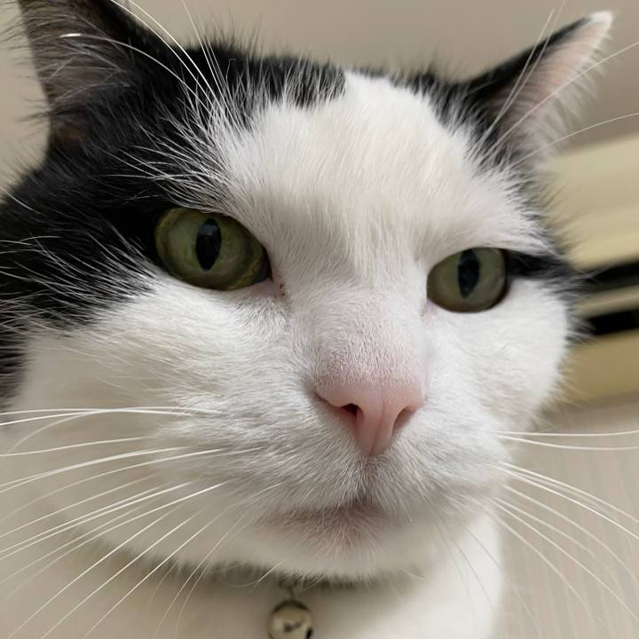 Ced349f2 9b49 46c1 9b83 fc181f9aeb6c 1769383307775