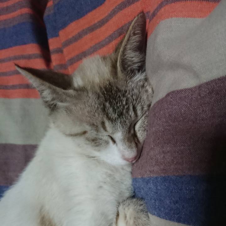 Ced36f16 8663 4a52 bc16 f857a0d6aa1c 1527261965438