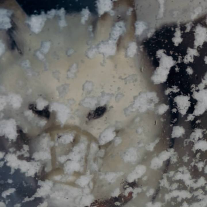 Ced3d2d0 ea5b 47c6 b2a6 3dee21aa1099 1769293321978