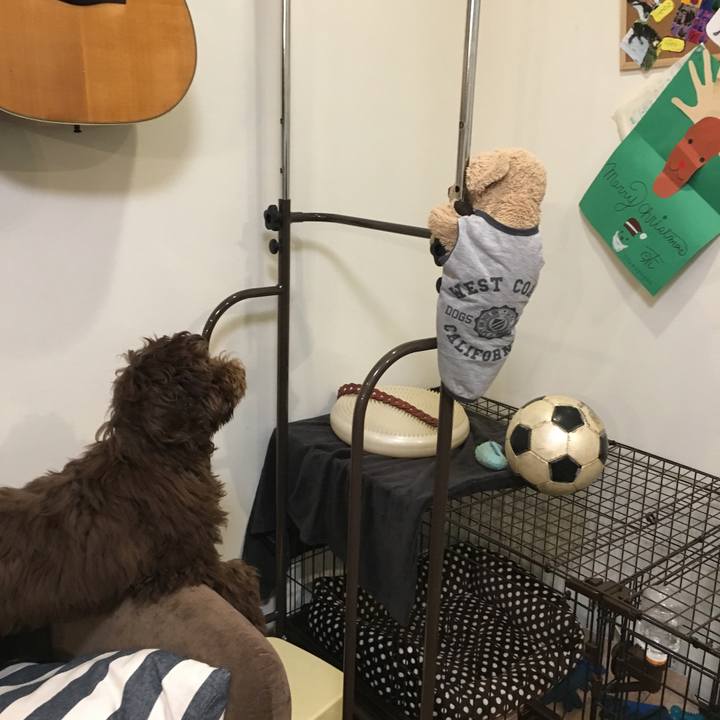 Ced3f645 c828 44e8 8cc6 94ffbf540839 1549015276383