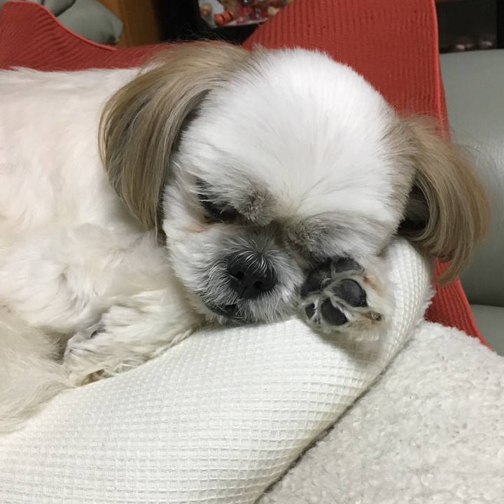 Ced40638 7407 444a ac95 156a67ea2c3a 1538743218195