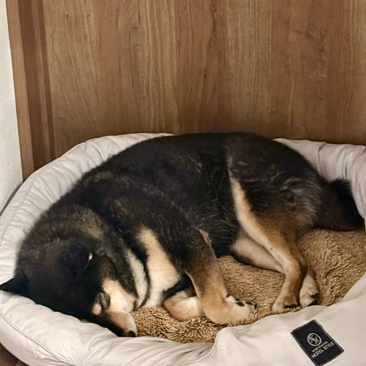 Ced41065 f495 4bfc 8941 f866dbb610c0 1765141228290