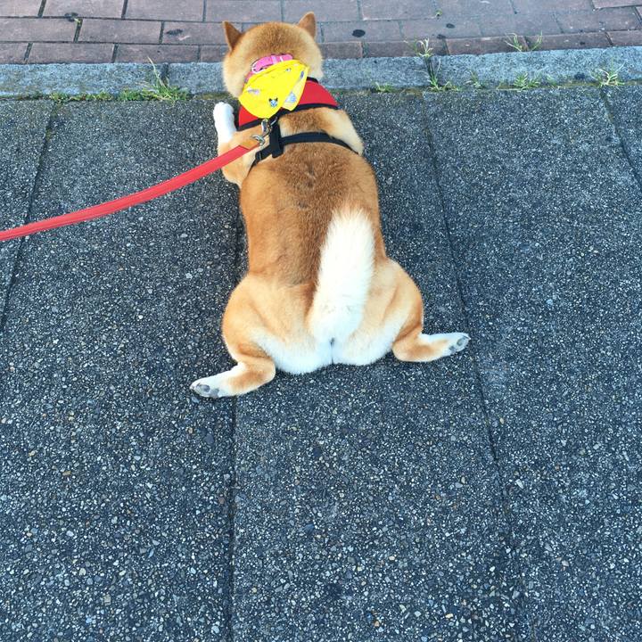 Ced4356b 3cad 4fef 813c 1819197104ac 1597102555185