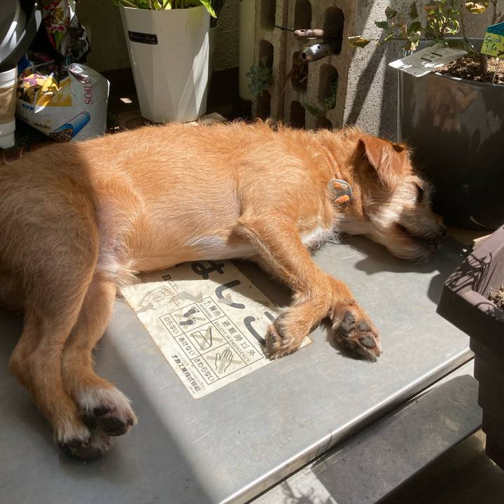 Ced43a2f 19cd 4187 a899 1eddd17c0e75 1691762489508