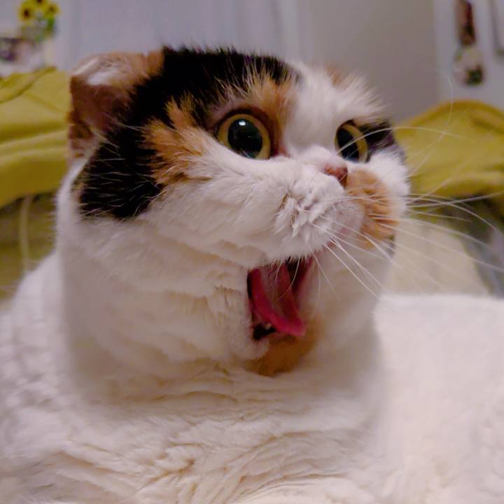 Ced449a7 7ac4 414f b673 d104fad92043 1710503672209